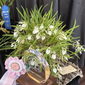 Owner: Kathy Barrett